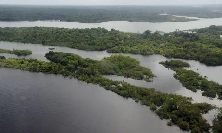 Força-Tarefa em Defesa da Amazônia permanecerá mais um ano na região
