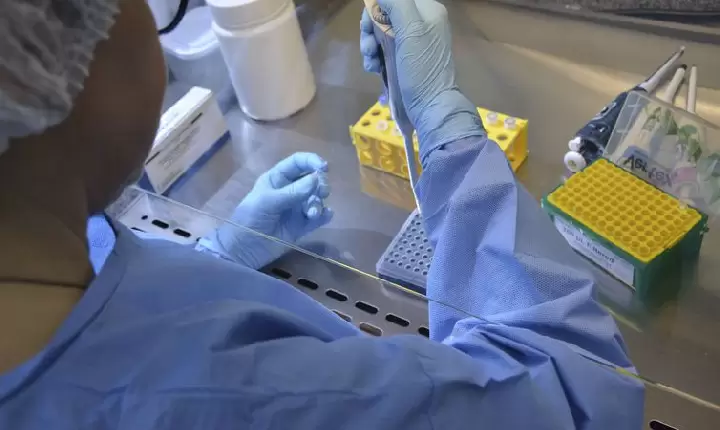 Plataforma reúne dados genômicos de bactérias multirresistentes