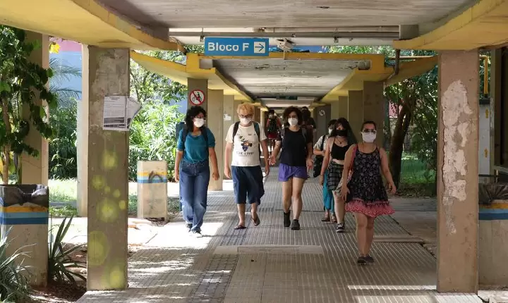 Professoras da USP criam projeto de mentoria para mulheres economistas