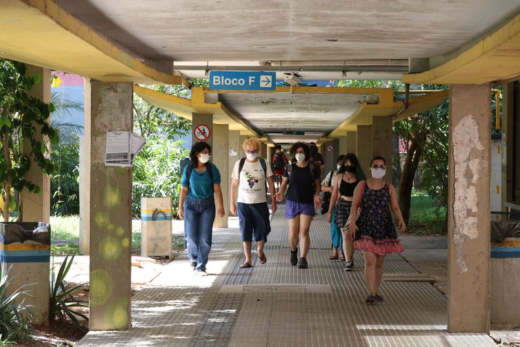 Professoras da USP criam projeto de mentoria para mulheres economistas